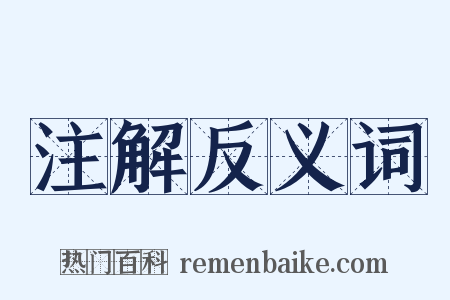 注解反义词是什么意思的图片
